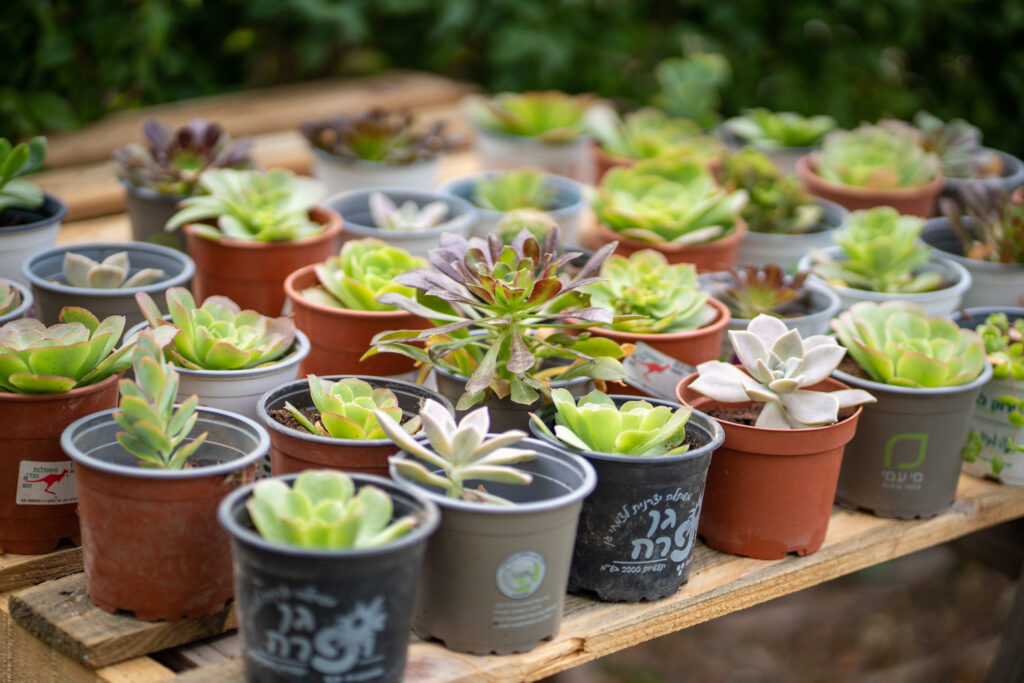 Photo 08-05-2023, 9 08 47